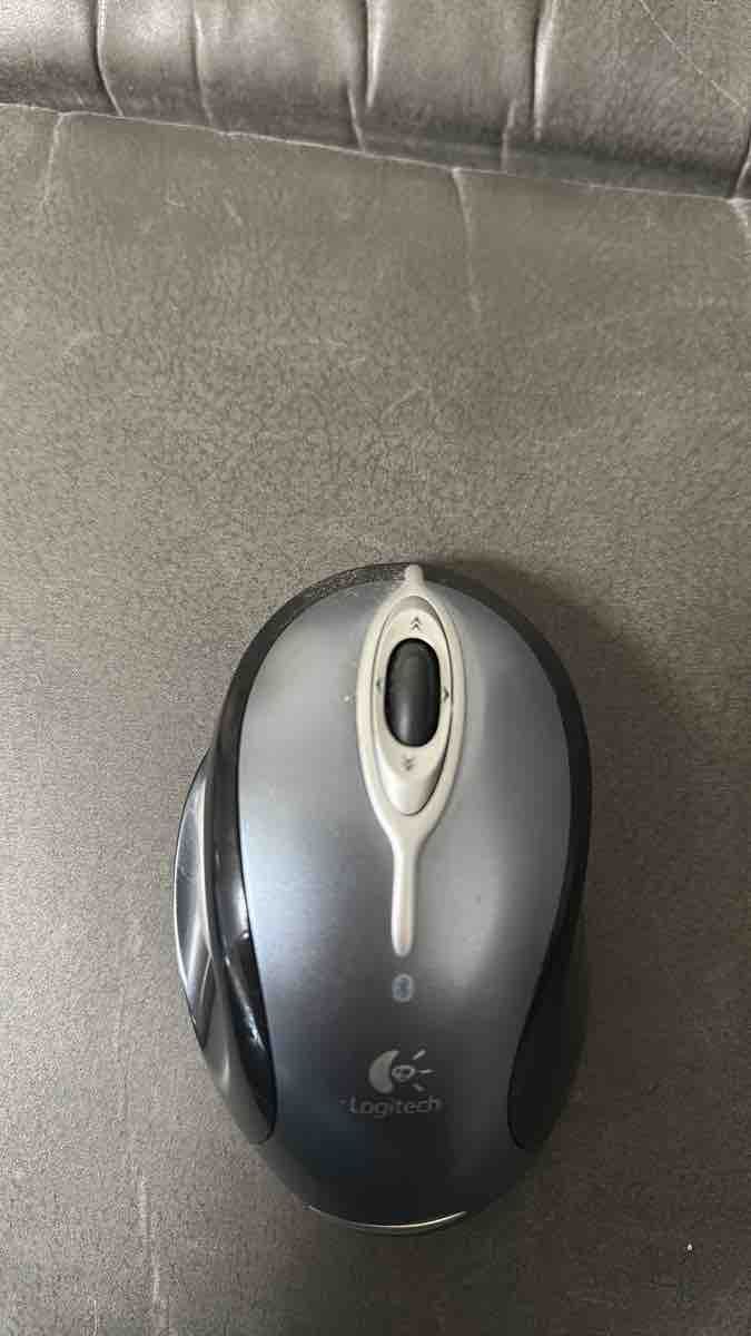 Logitech Maus: Logitech MX Laser Maus – Gebraucht aus Giebenach von mus_5m7j 2