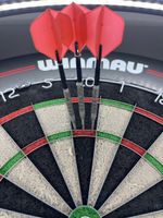Steeldarts mit Zubehör
