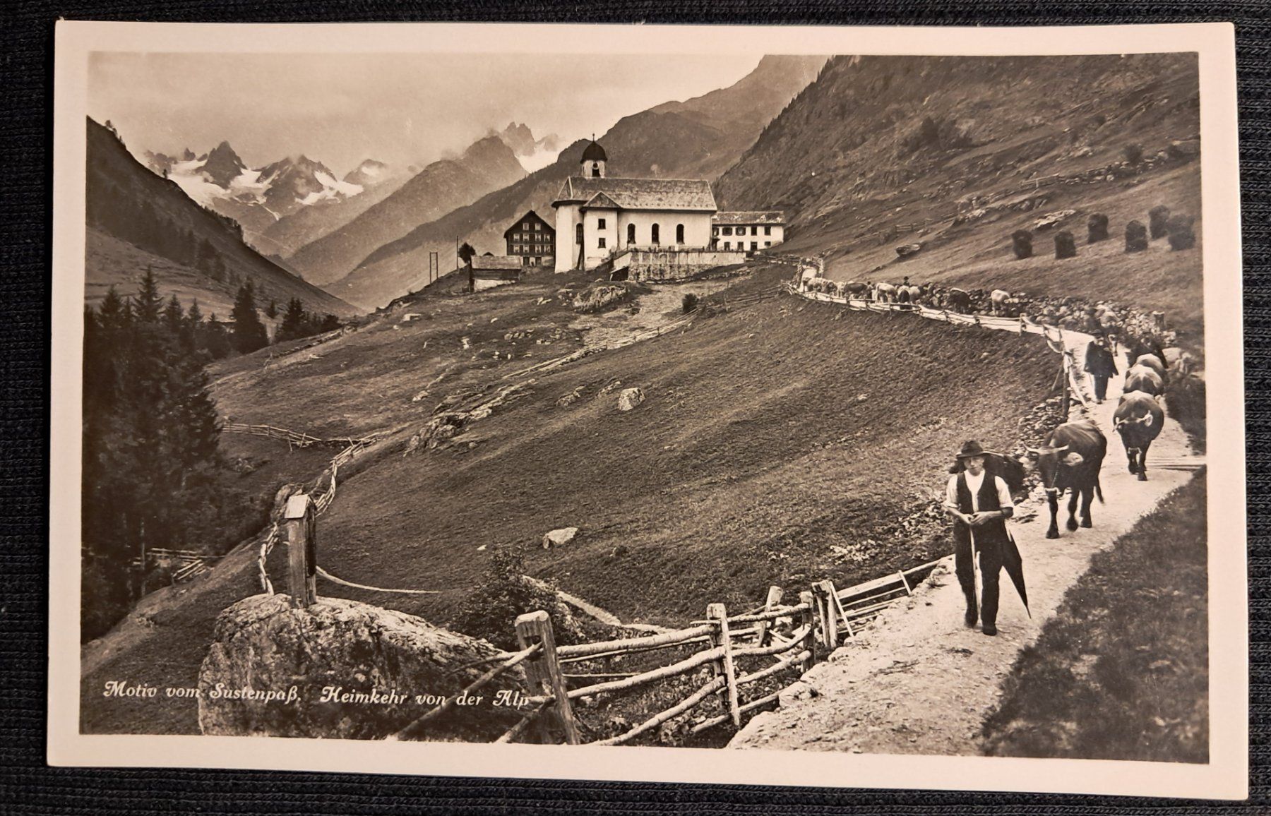 Cartes postales: SUSTENPASS - TRANSHUMANZ - ANIMIERT – D'occasion à Ponto Valentino par giorgia06