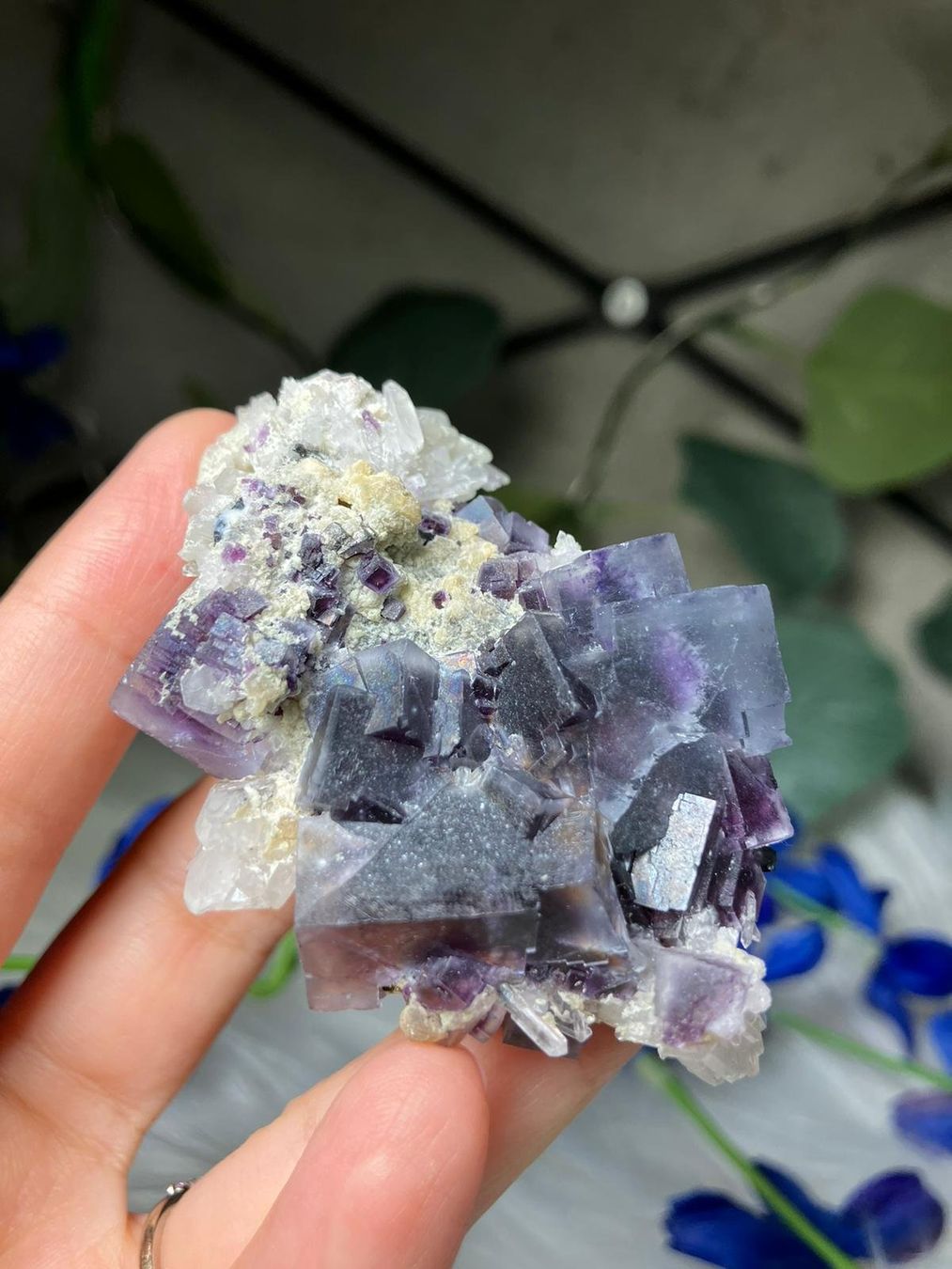 Minerali & Pietre curative: Blauer Fluorit mit Quarzcluster – Usato da Neuheim venduto da m.hald