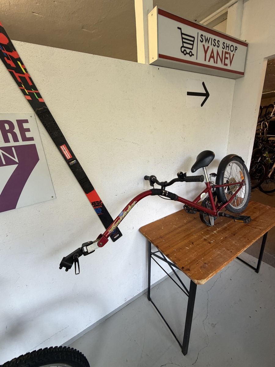 Biciclette: Fun-Trailer Schattenvelo – Usato da Gurmels venduto da SwissShop21 2