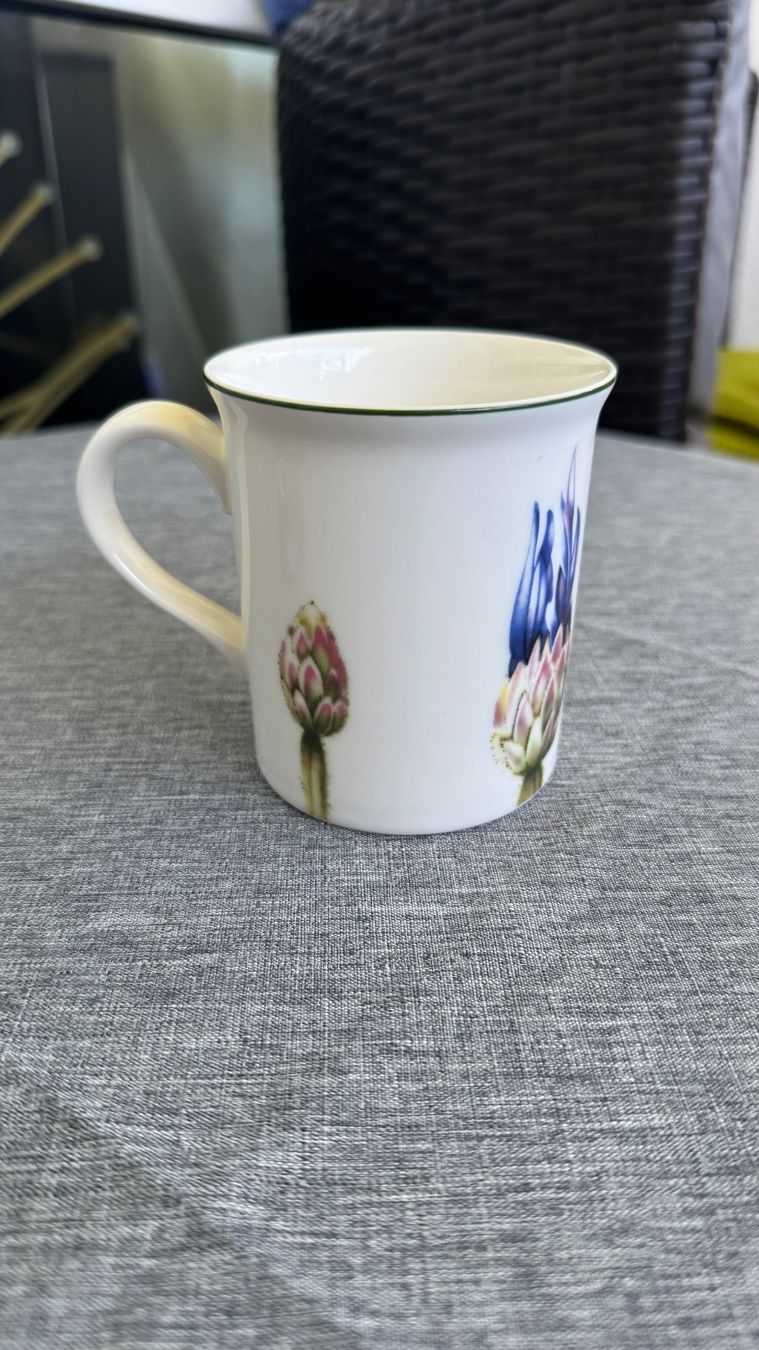 Villeroy & Boch Piatti: Villeroy Boch Tasse New – Nuovo (secondo la descrizione) da Zürich venduto da Privat4444 1