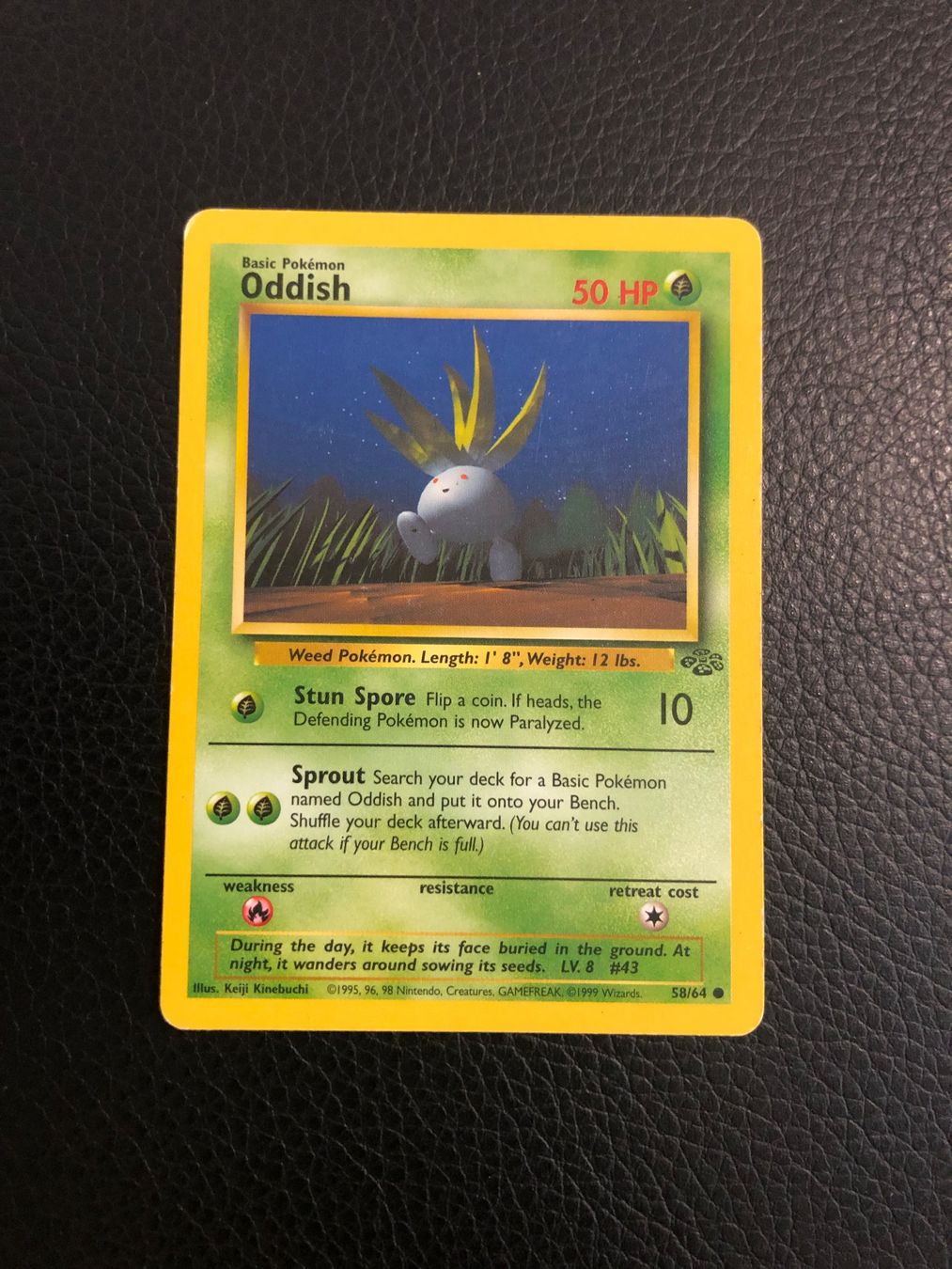 Pokémon Carte collezionabili: 1999 Jungle Oddish 58/64 Ab 1 – Usato da Paradiso venduto da Pkmn10