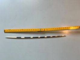 Stachelschweinstachel
