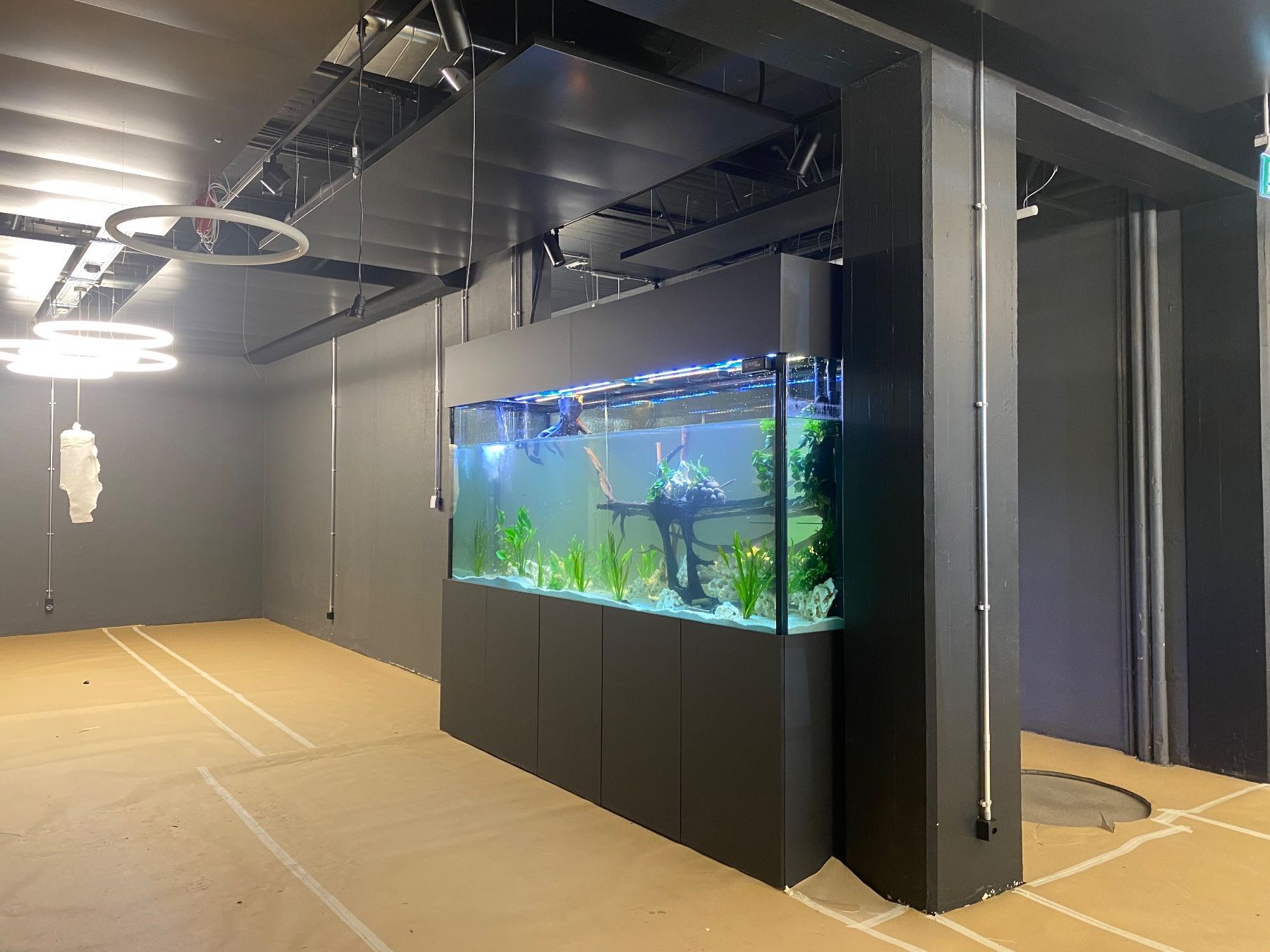 Acquari: Vor-Ort-Verklebung Aquarium – Nuovo (secondo la descrizione) da Berikon venduto da fischundart 1