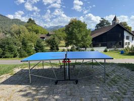 Table de ping-pong Artengo