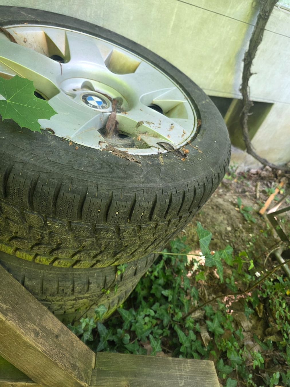 BMW Pneus & Roues: Komplett Räder – D'occasion à Biberist par lea_77s7 2