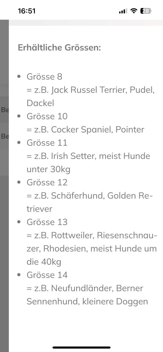 Abbigliamento: Hunde/ Pfotenschutz – Nuovo e nell'imballaggio originale da Betschwanden venduto da Dognose 5