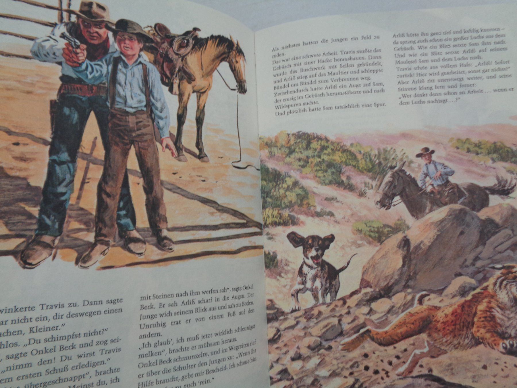 Libri: Walt Disneys - Abenteuer Amerika – Usato da Chur venduto da omonia 8