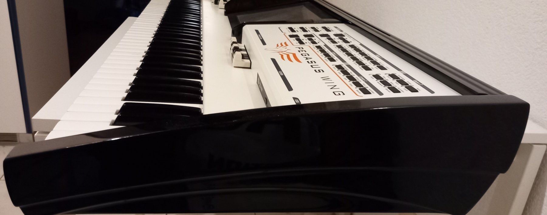 Strumenti musicali: Wersi Pegasus Wing Prof Workstation / Keyboard 76-Tasten – Usato da Schänis venduto da livo56 7