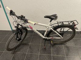 Mustang Velo 26 Zoll 