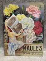 Maules seed Blumen 
