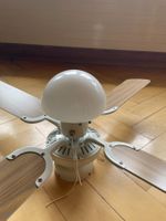 Deckenventilator