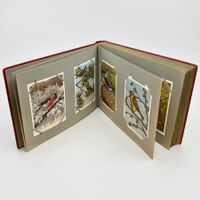 Album 100 cartes postale suisses, "Oiseaux du monde"
