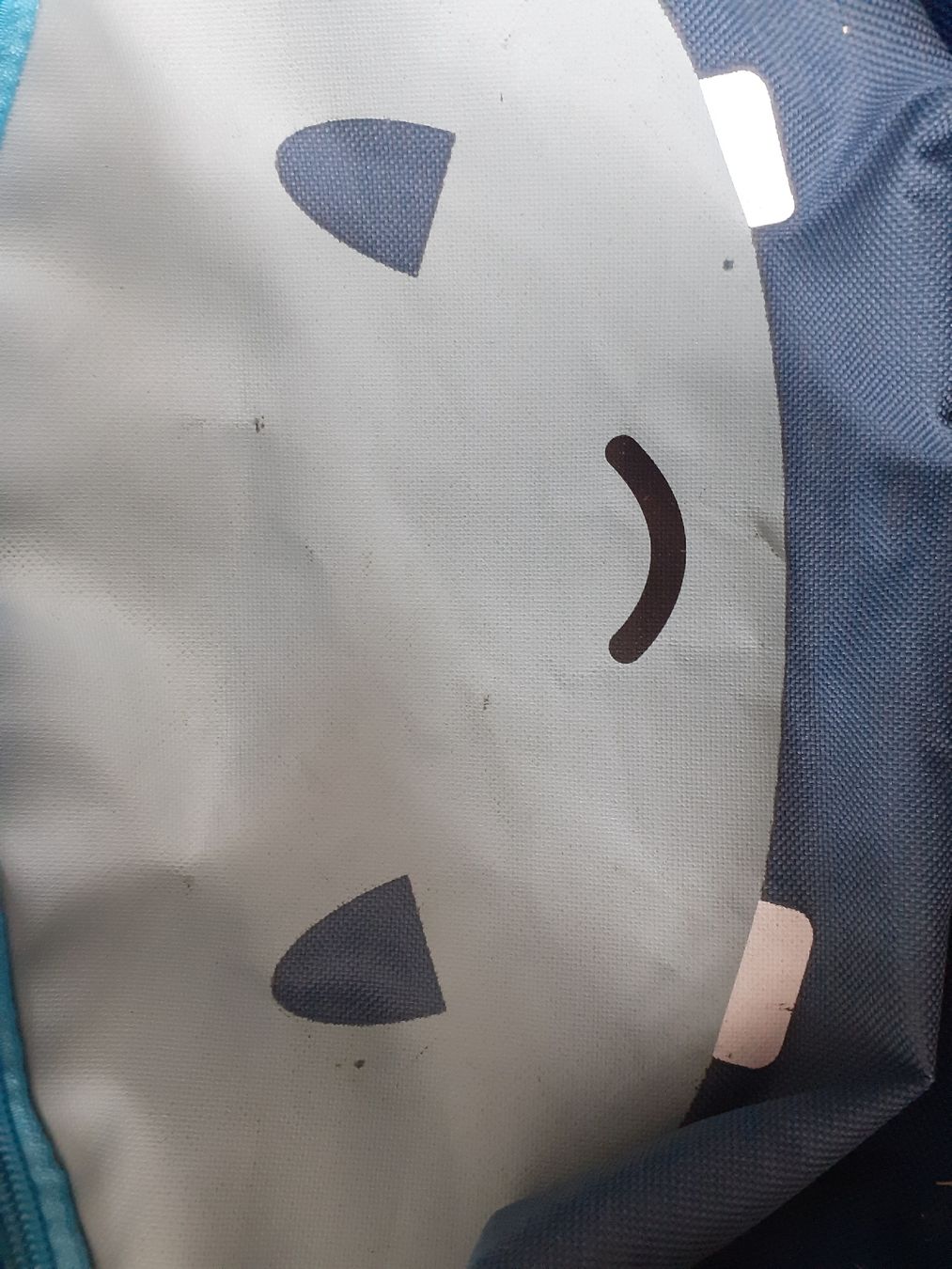 Borse & Zaini: Kinder- Reise-Tasche – Usato da Chur venduto da Knuffer 2