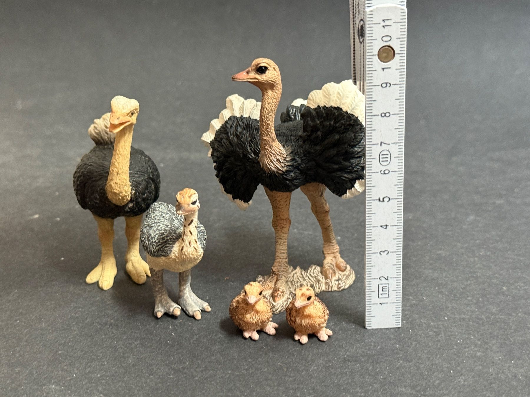 Schleich Figuren: Schleich Strauss Familie – Gebraucht aus Ennetbaden von mapa05 1