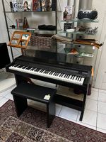Hochklassiges E-Piano Gem novoPiano DP-40
