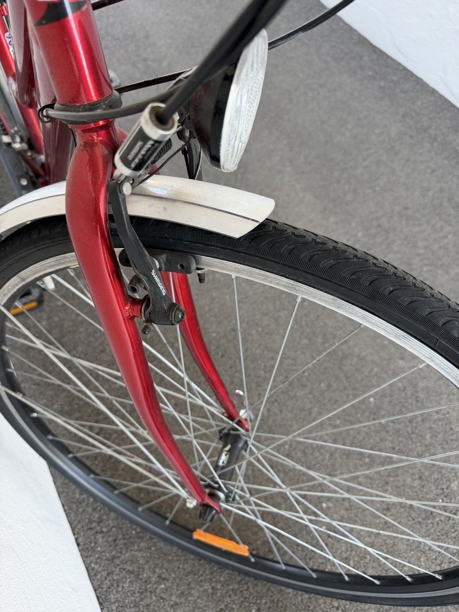 Biciclette: RACER 250 Velo – Usato da Wichtrach venduto da xSelpio007 4