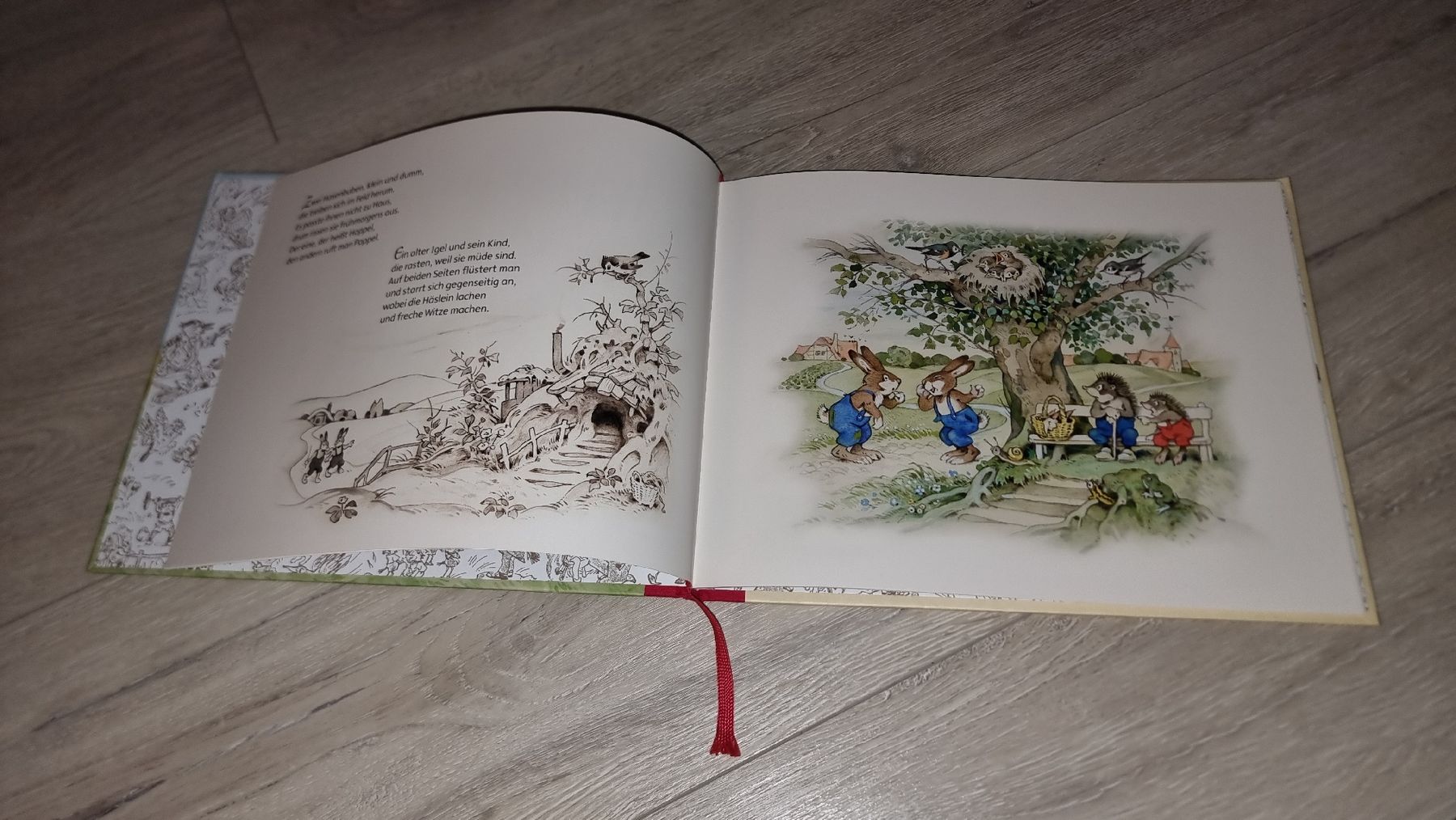 Libri: Hoppel und Poppel - Kinderbuchklassiker neuwertig – Nuovo (secondo la descrizione) da Wigoltingen venduto da Zuckerfee84 2