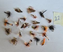 22  Verschiedene Fliege  Nassfliegen und Trockenfliegen
