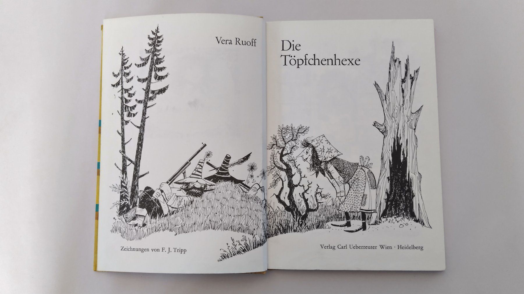 Libri: Die Töpfchenhexe / Vera Ruoff / Buch 1972 mit 64 Seiten – Usato da Bellach venduto da JingleJerry 3