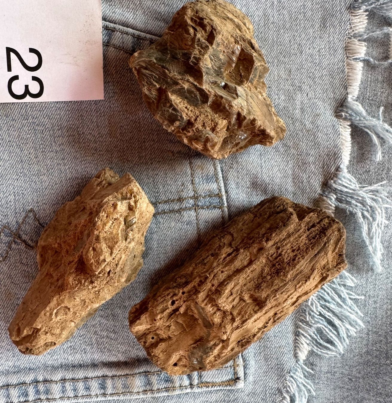 Fossilien: Bernstein  Amber   grosse Brocken    AMBER  aus Sumatra – Neu und originalverpackt aus Leuggern von gemshow 1