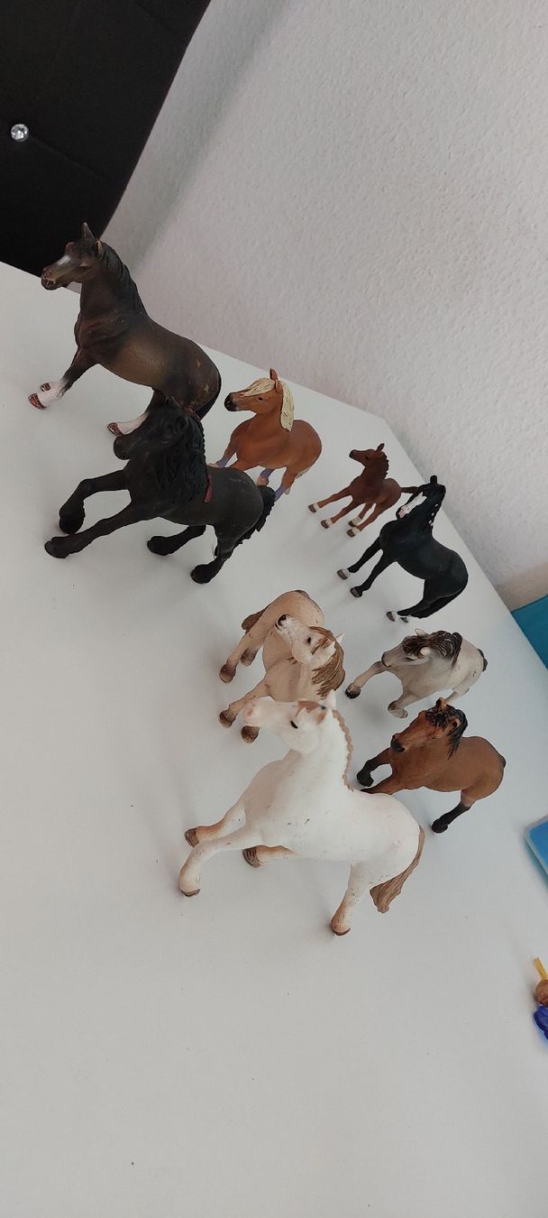 Schleich Giocattoli: original schleich rössli – Usato da Frutigen venduto da han_cn5n