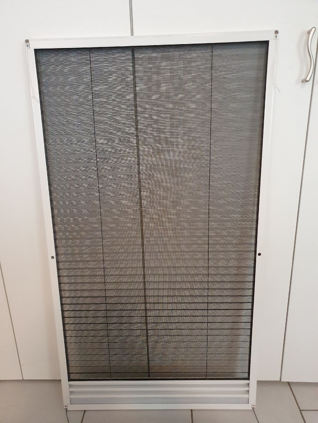 Fensterläden: Blisse, Insekten und Schatten – Gebraucht aus Winterthur von Rubinof 5