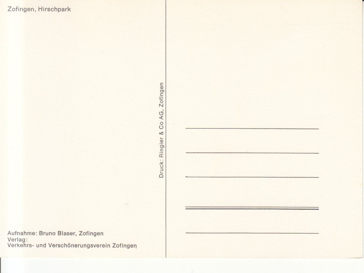 Cartoline postali: Zofingen ca. 1970 – Usato da Bürglen TG venduto da StampGraf 1