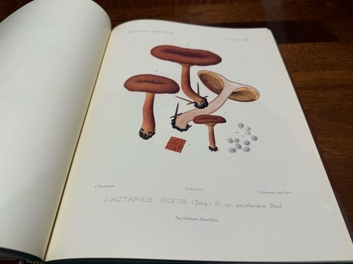 Libri: Iconographie des Champignons Boudier 5 Vol. – Nuovo (secondo la descrizione) da Montreux venduto da kingfisherbeach 5