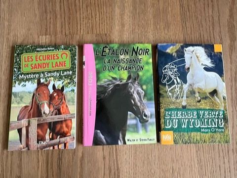 Livres: lot de 3 livres, thème chevaux – D'occasion à Delémont par chloe._rm