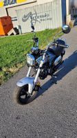 Honda ST125A Dax – sehr gepflegt – nur ca. 1'100 km