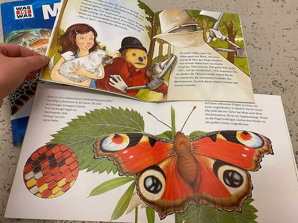 Bücher: Bücher und Hefter für Kinder – Neu (gemäss Beschreibung) aus Zürich von Cleo234 3