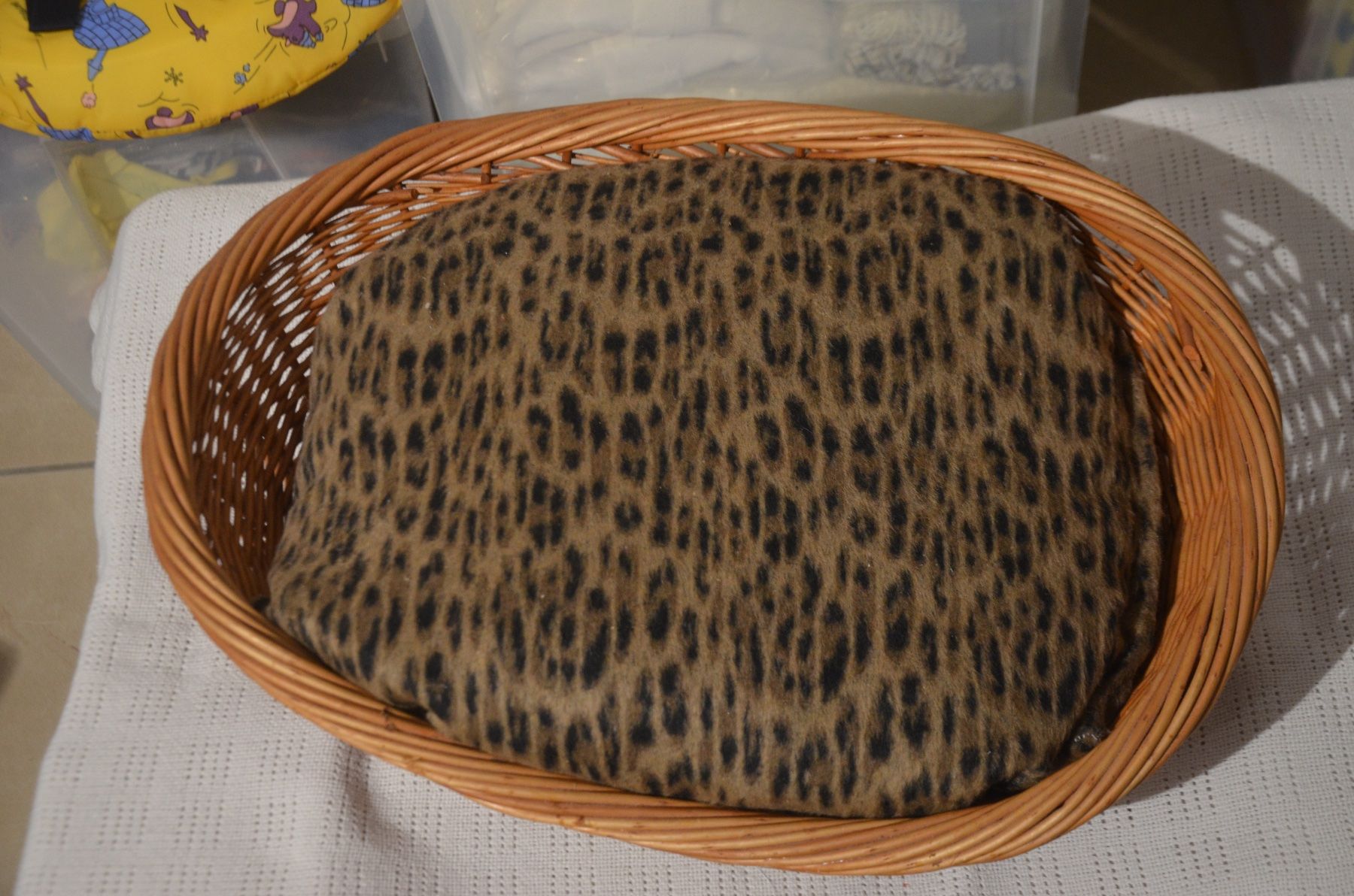 Cucce & Letti: KATZE BETT NEU – Nuovo (secondo la descrizione) da Chiasso venduto da Dolly015