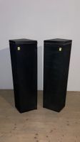 Lautsprecher Rowen R1 Research-Serie Paar