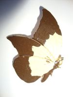 Schmetterling Brosche