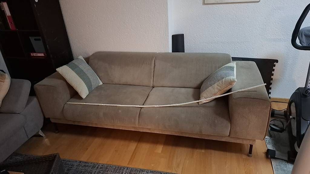 Pfister Sofas: Einzelsofa von Pfister, 230cm – Gebraucht aus St. Gallen von Bitmaster