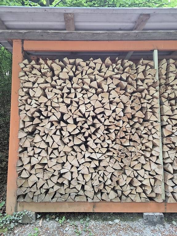 Articoli in legno: Brennholz Buche – Usato da Sachseln venduto da Cat_m320f