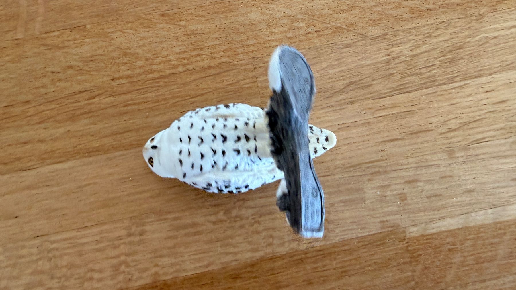 Schleich Spielzeuge: SCHLEICH - Schnee-Eule 14671 – Gebraucht aus Winterthur von Secondhand-Family 6