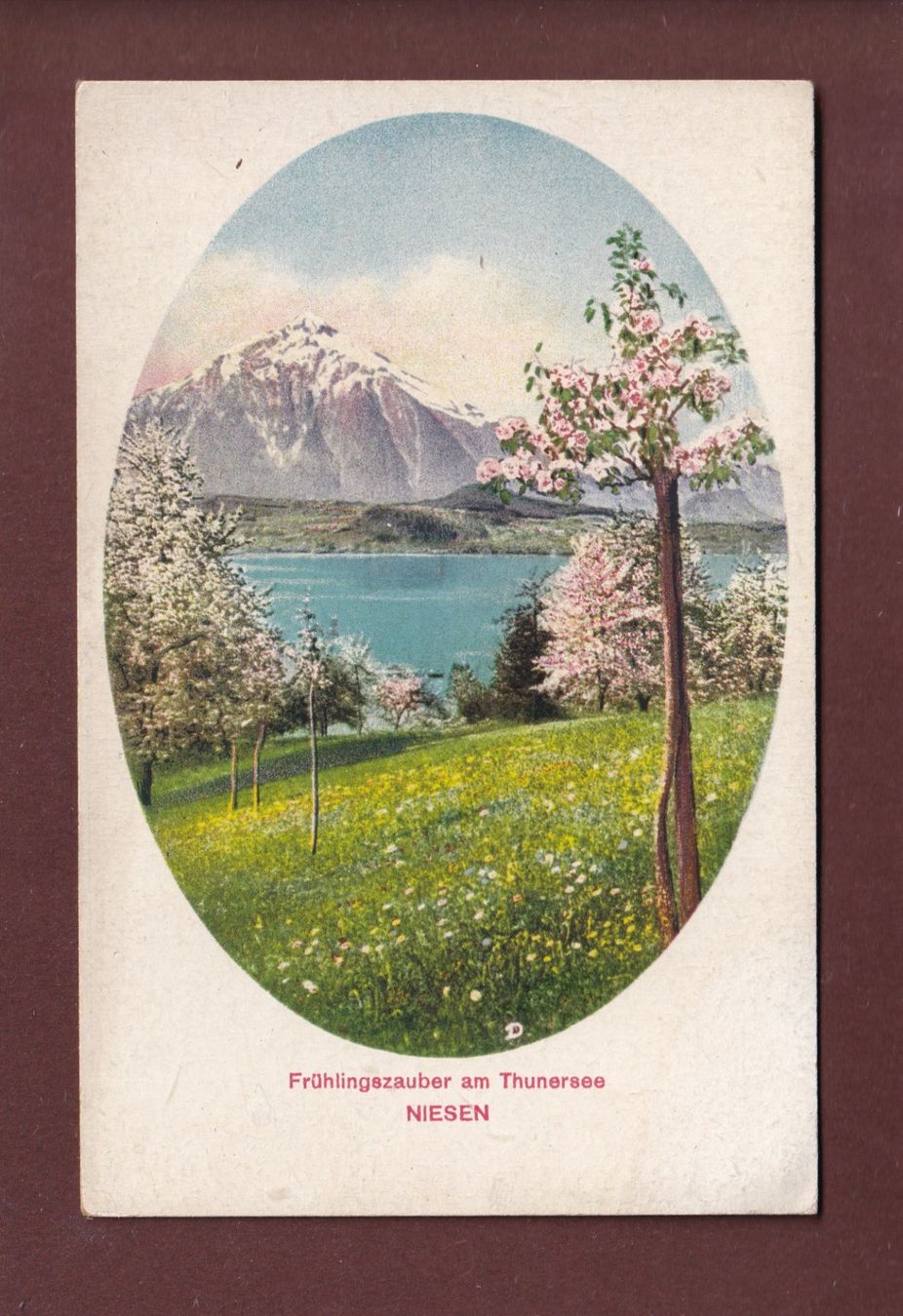 Cartes postales: NIESEN - Frühlingszauber am Thunersee – D'occasion à Pully par nicecards