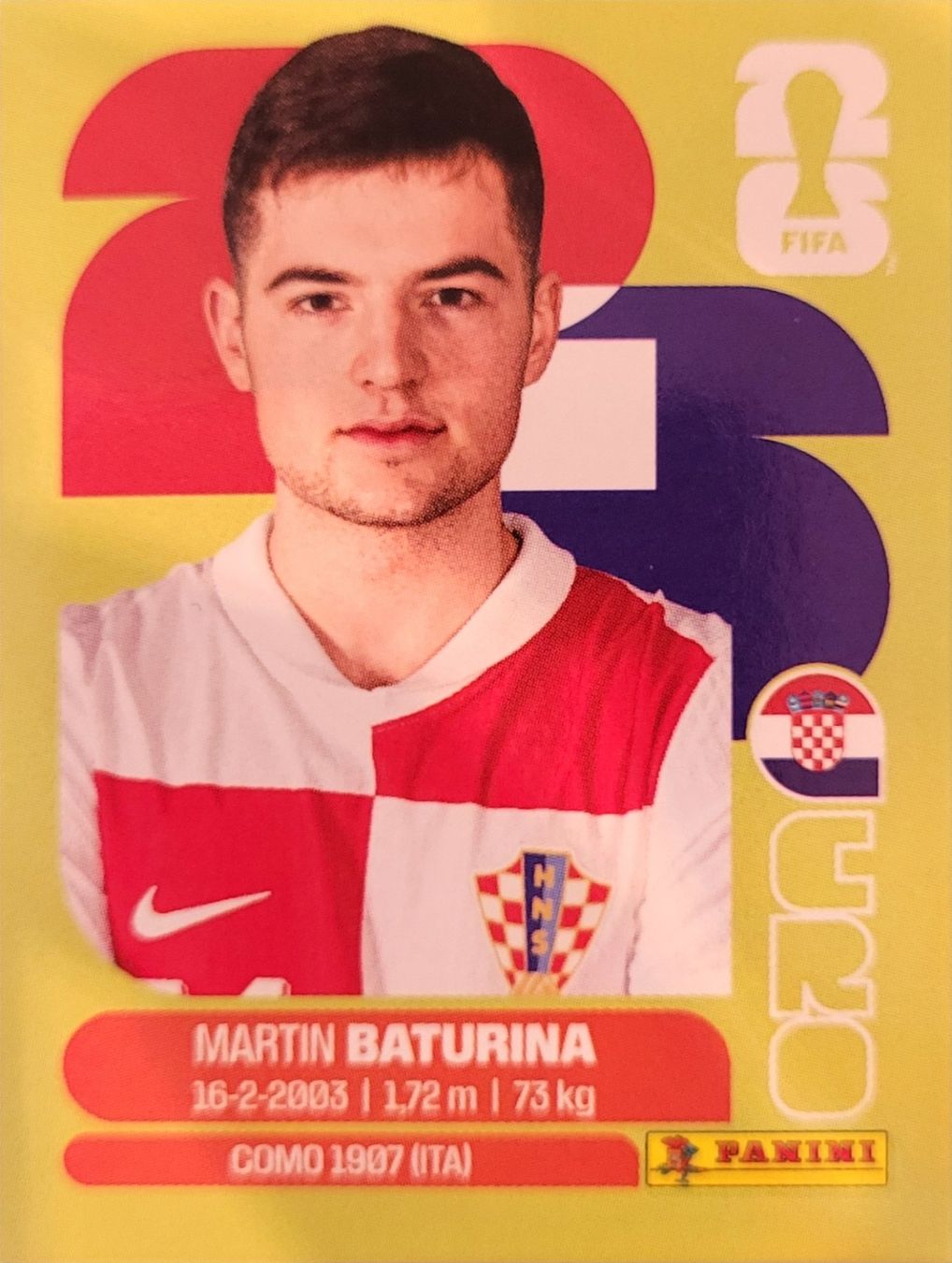 Panini Carte collezionabili: Panini FIFA World Cup CRO 11 – Nuovo (secondo la descrizione) da Wallisellen venduto da never_give_up
