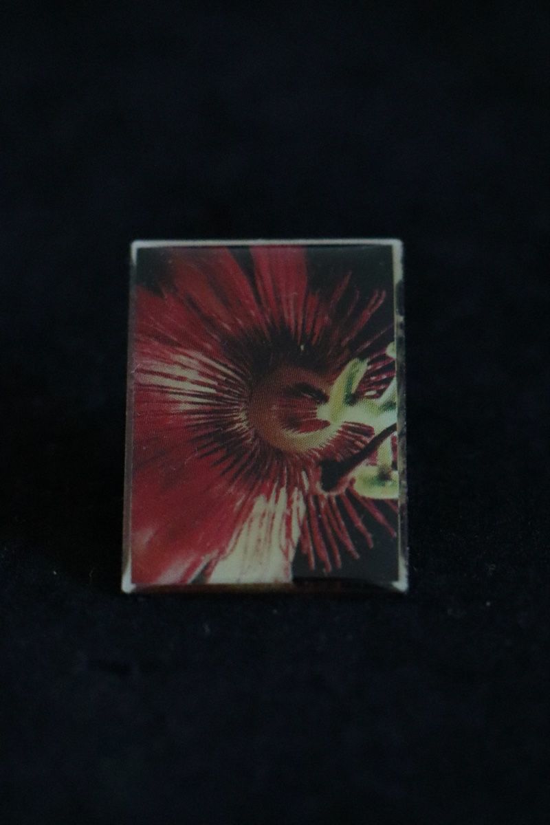Placchette & Badge: Blumen PIN‘s – Usato da Ottenbach venduto da siiinnaa_77 4