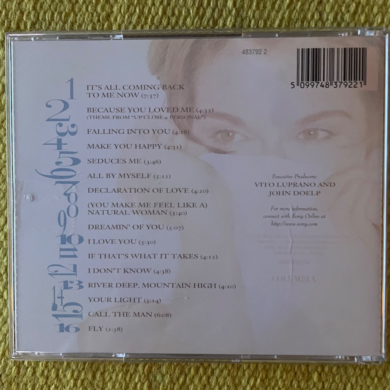 CD: CÉLINE DION-FALLING INTO YOU – Usato da Rorschacherberg venduto da CD-Roli 1