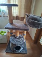 Katzenbaum