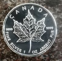 1 Unze Maple Leaf 2010 unzirkuliert 1 Oz 1 Ounce Silber 9999