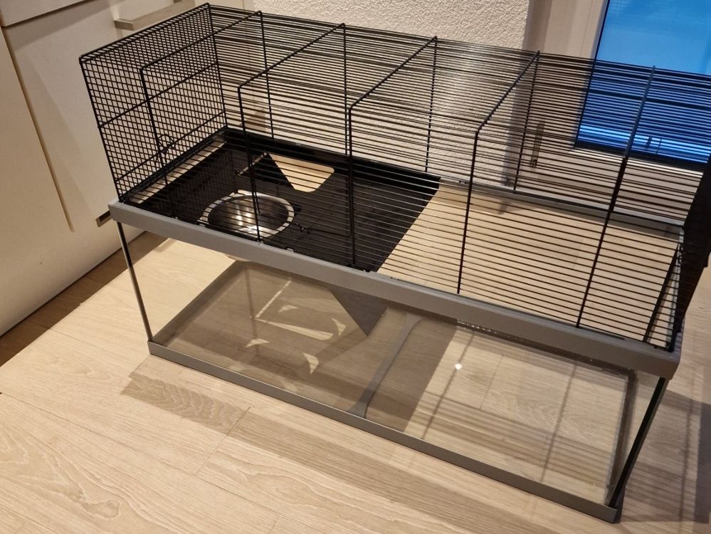 Hamsterkafig Aus Glas