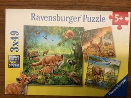 Ravensburger Puzzle 3x49 Teile Tiere ab 5 Jahren
