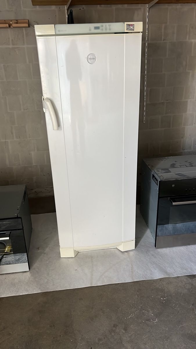 Frigoriferi: Kühlschrank Electrolux – Usato da Hinwil venduto da and_qw8j