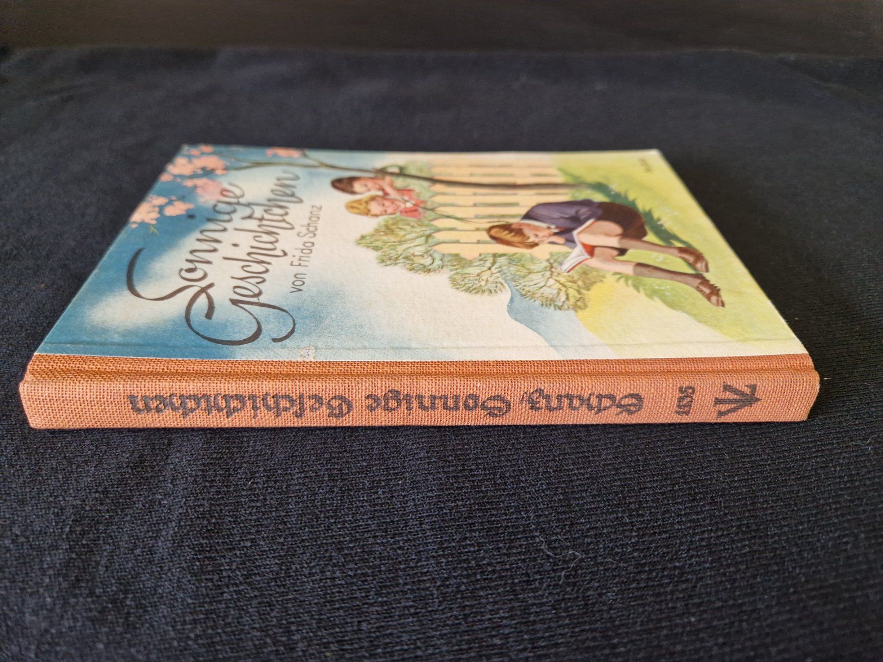 Libri: FRIDA SCHANZ "Sonnige Geschichtchen" – Usato da Muhen venduto da Restwert_Muhen 2
