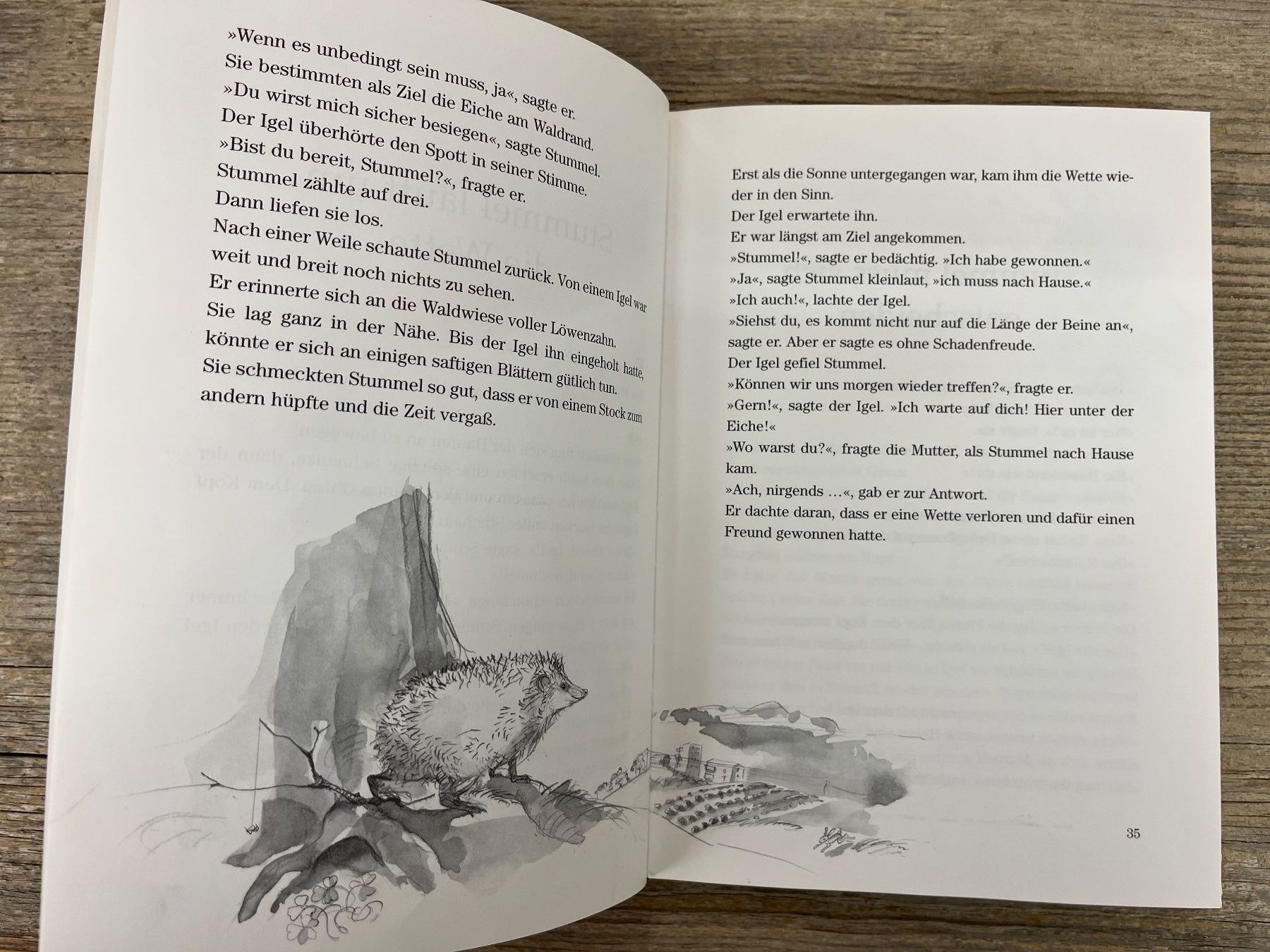 Libri: Vorlesebuch: Stummel ein Hasenkind wird gross, 1. Aufl. 1999 – Usato da Pfäffikon ZH venduto da buresi 7